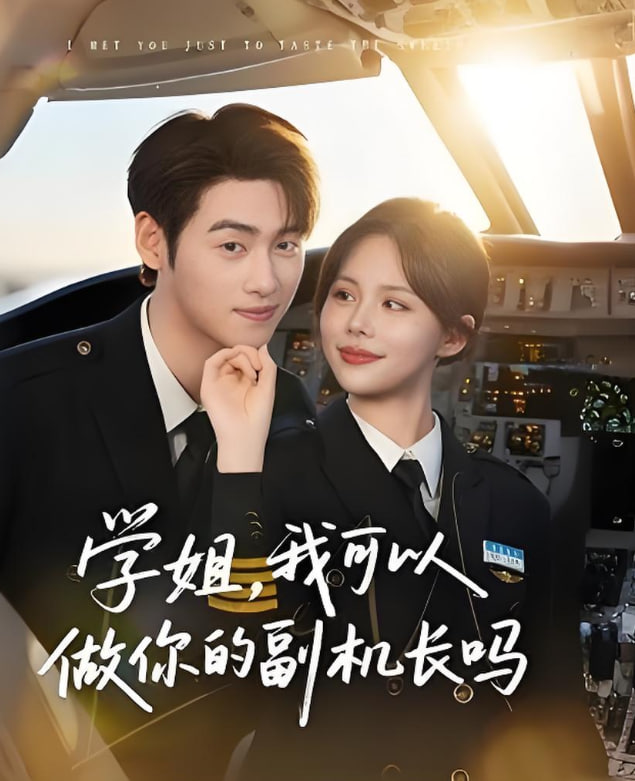 学姐我可以做你的副机长吗(全集)