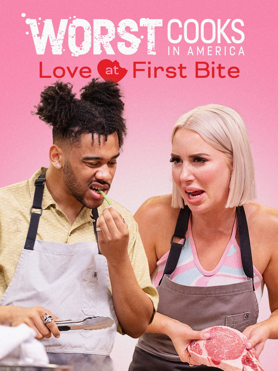 糟糕厨子大改造 第二十六季