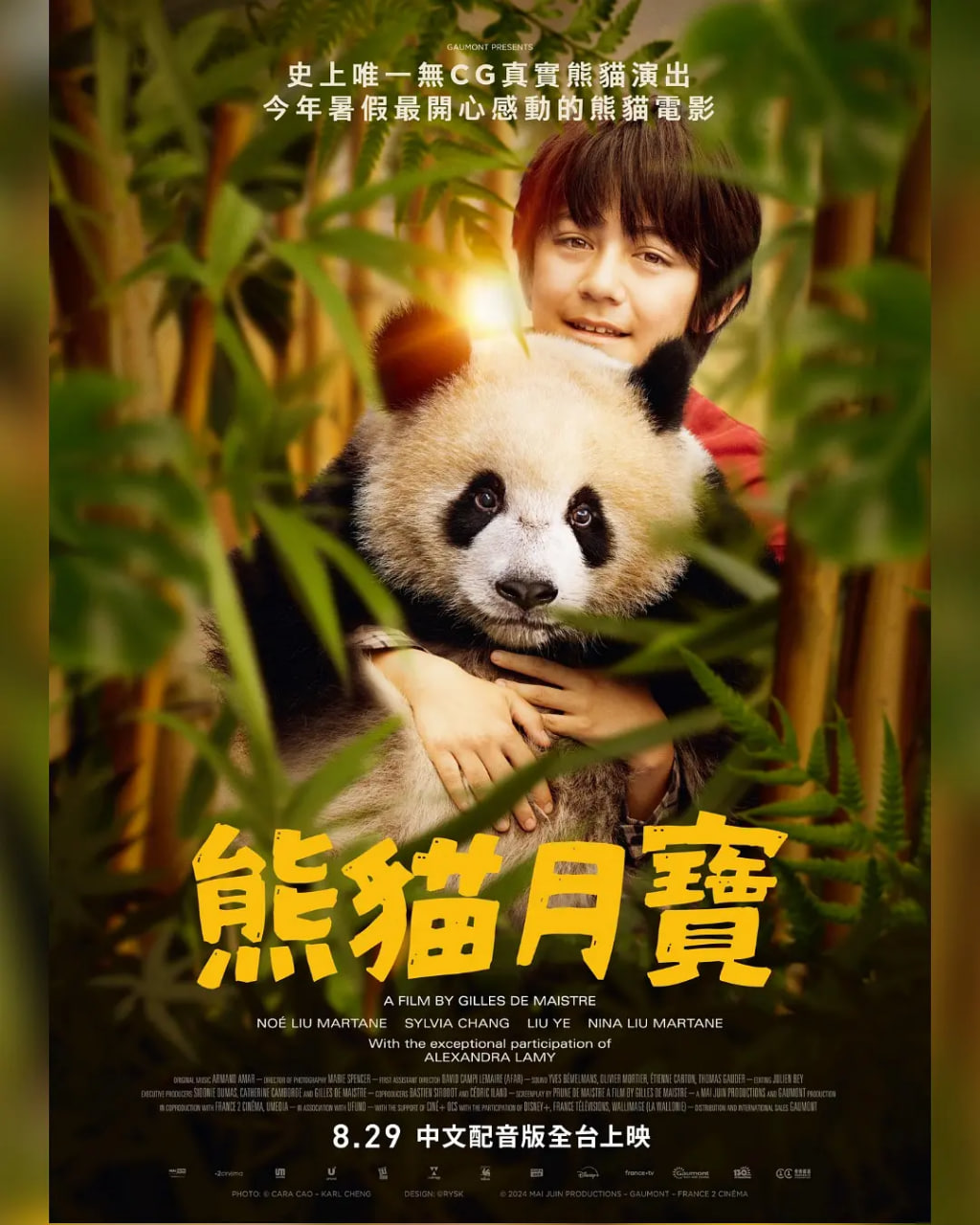 熊猫月亮