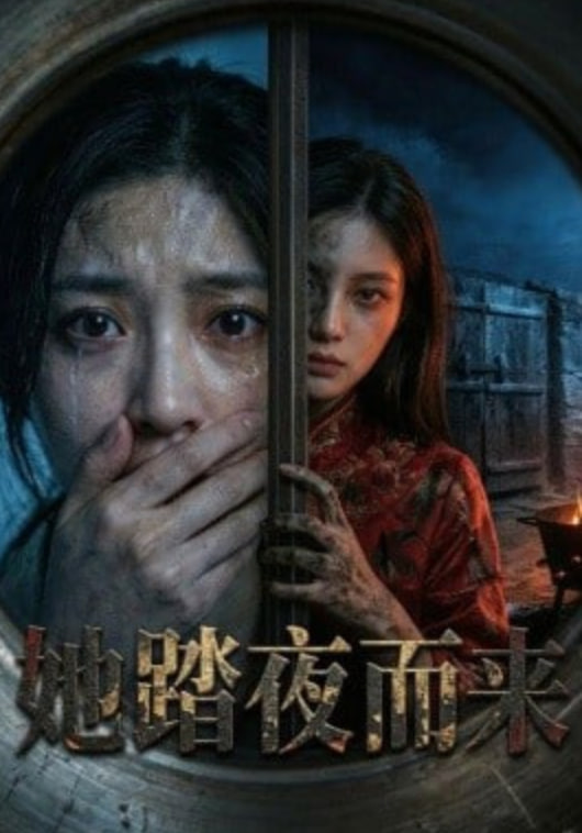 她踏夜而来(全集)
