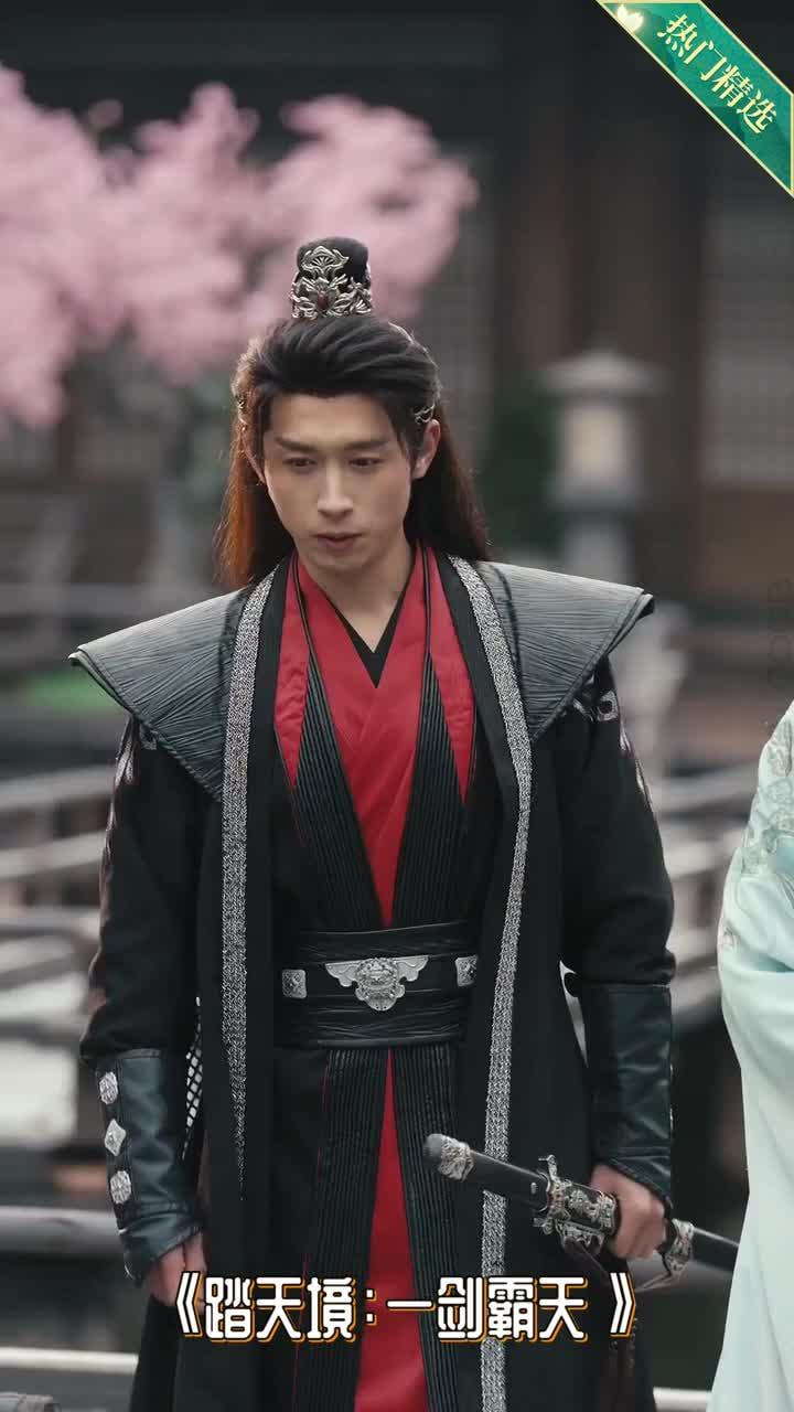踏天境一剑霸天(全集)