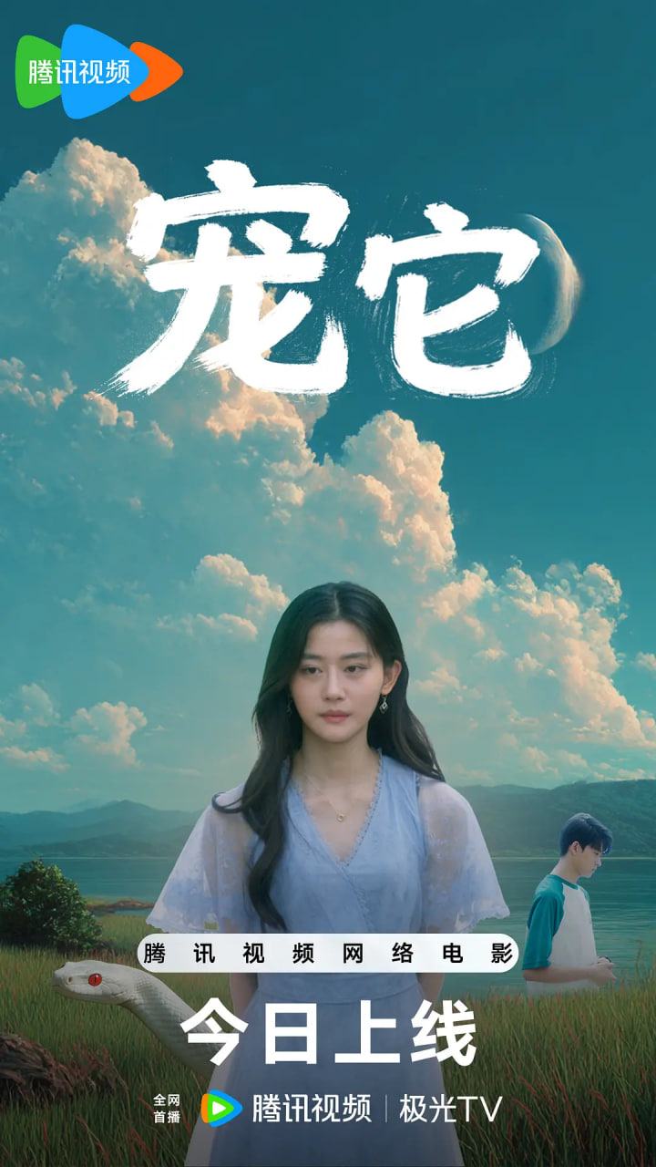 宠它