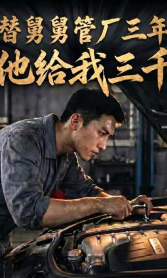 替舅舅管厂三年他给我三千(全集)