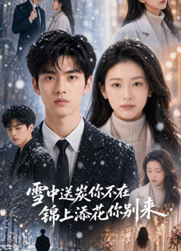 雪中送炭你不在，锦上添花你别来(全集)