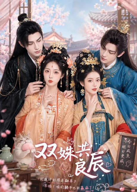 双姝共良辰(全集)