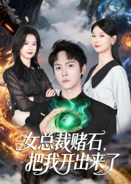 女总裁赌石，把我开出来了(全集)