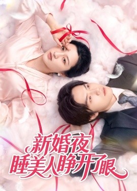 新婚夜睡美人睁开了眼(全集)