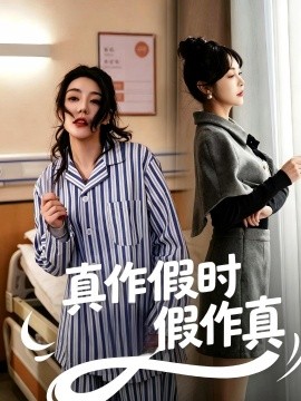 真作假时假作真(全集)