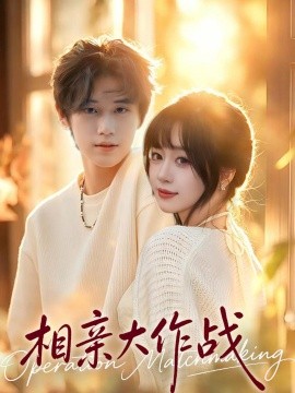 相亲大作战(全集)