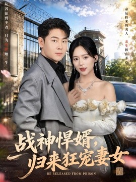 战神悍婿，归来狂宠妻女(全集)