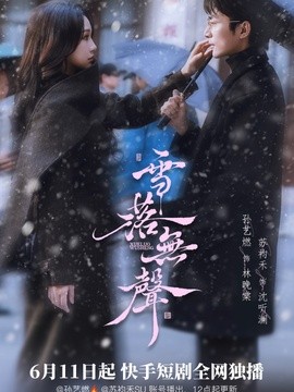 雪落无声短剧(全集)