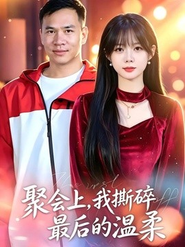 聚会上，我撕碎最后的温柔(全集)