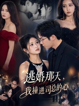 逃婚那天，我撞进司总的心(全集)