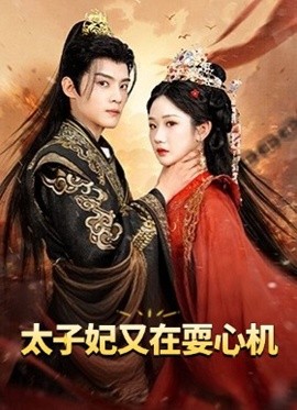 太子妃又在耍心机 人家才不是坏女人(全集)